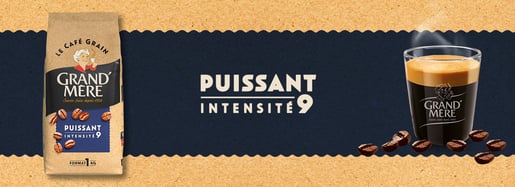 2025 FR 11462 GM BANNIERE PUISSANT